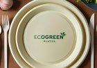 EcoGreen Plates and Food Safety: Safe, Sustainable, and Stylish