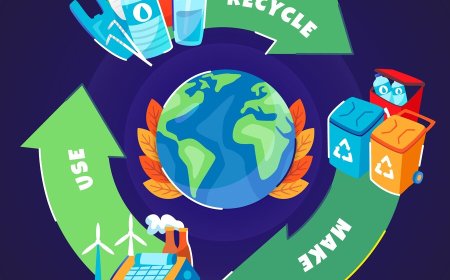 The Role of EcoGreen Plates in Zero-Waste and Circular Economy Initiatives