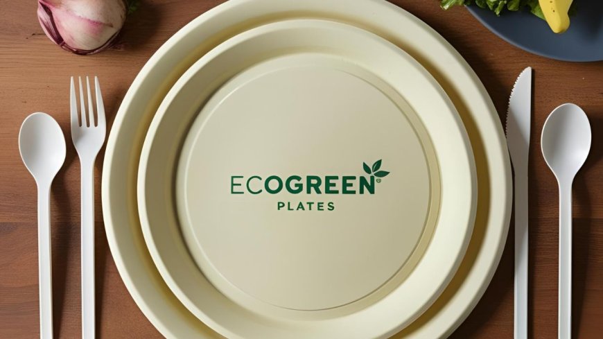 EcoGreen Plates and Food Safety: Safe, Sustainable, and Stylish